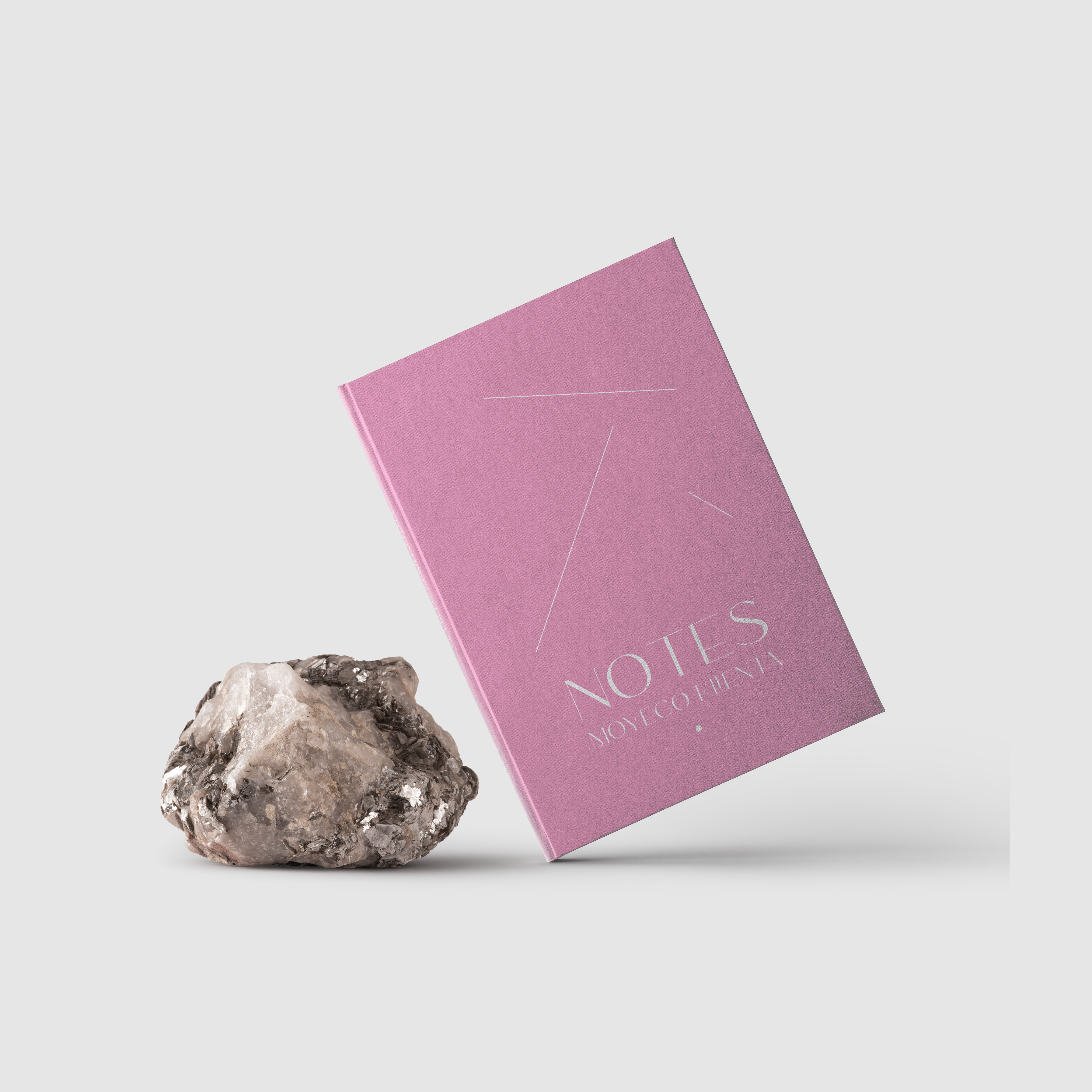 Notes Moyego Klienta