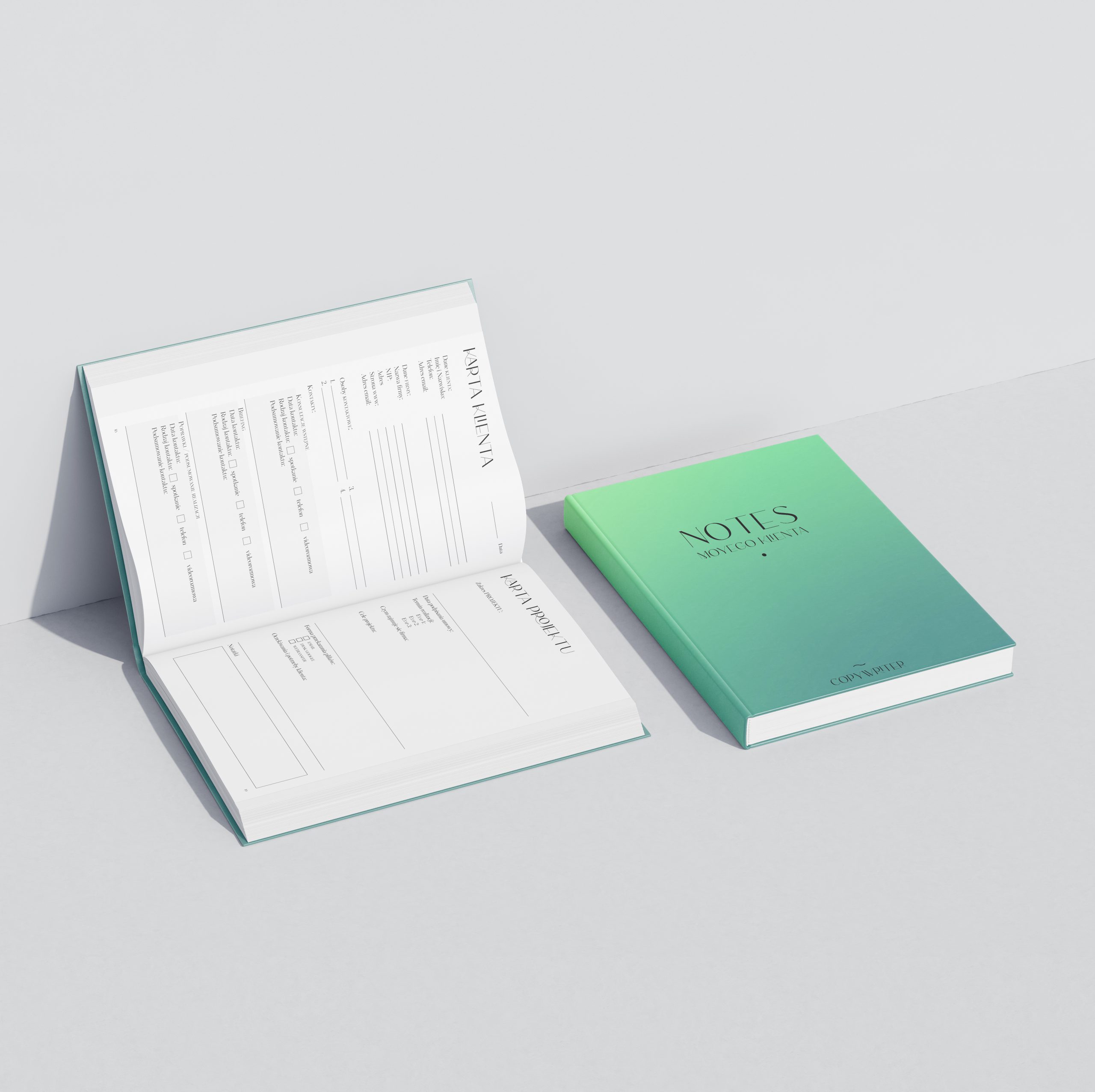 Notes Moyego Klienta - Copywriter