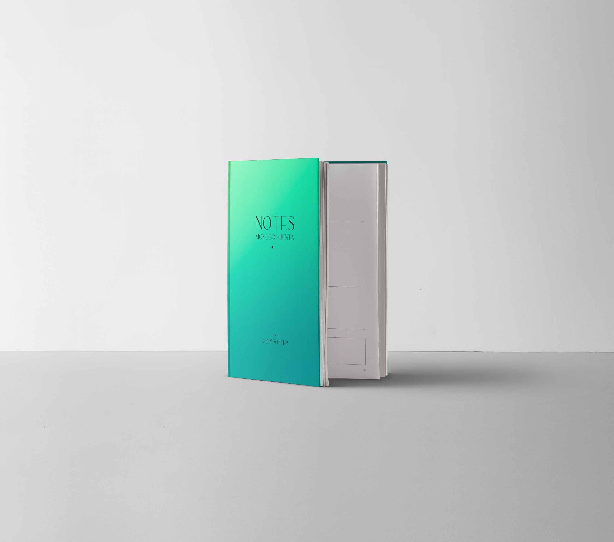 Notes Moyego Klienta - Copywriter