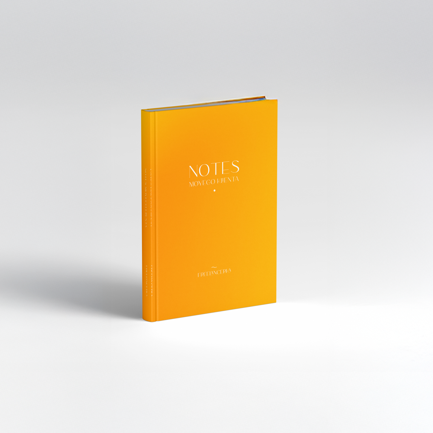 Notes Moyego Klienta - Freelancerka